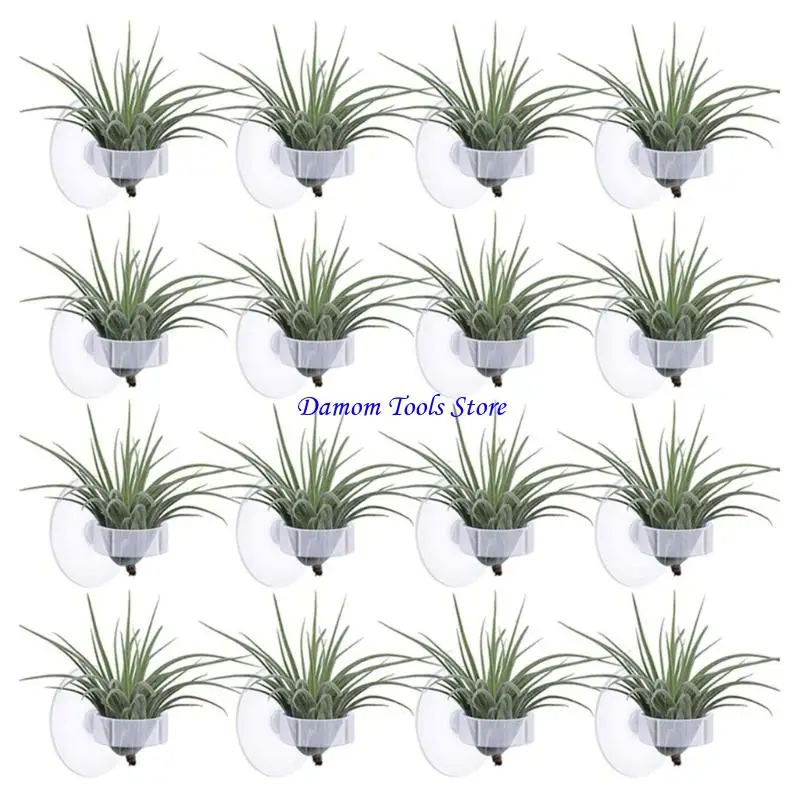 57BE 20 Pieces Air Plant Hanging Pots with Strong Adhesive Cups for Indoor Plant Glass Tile or Metal Fish Accessories