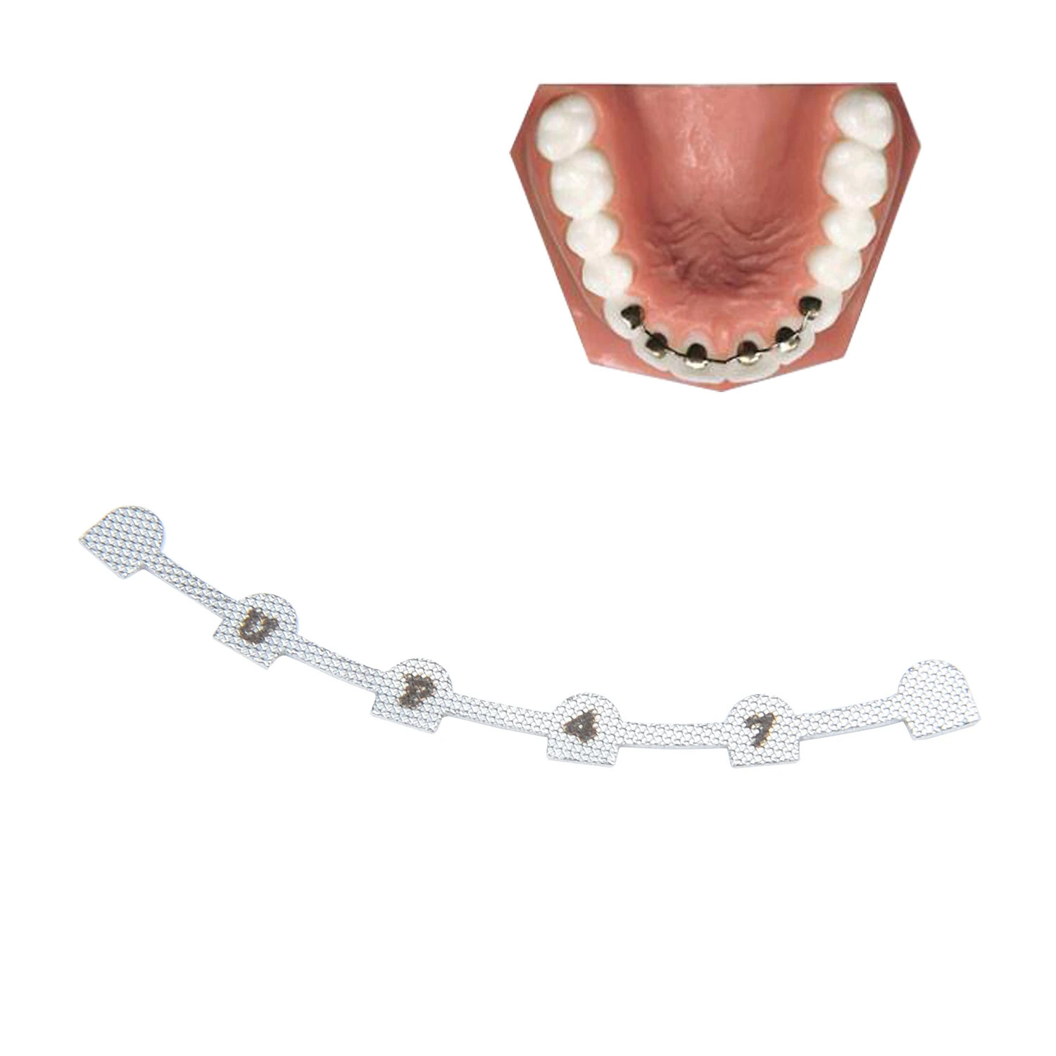 10 Stück/Packung AZDENT Dental Kieferorthopädischer Lingualer Retainer mit Markierung U38 # -47 # Oberes L29 # -37 # Niedriger – Detail 3