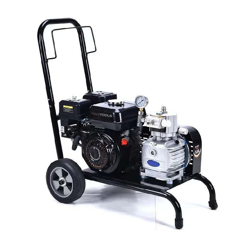 

High Pressure Paint Sprayer, 5.5HP Handheld Paint Spraying Machine, Powered Sprayer