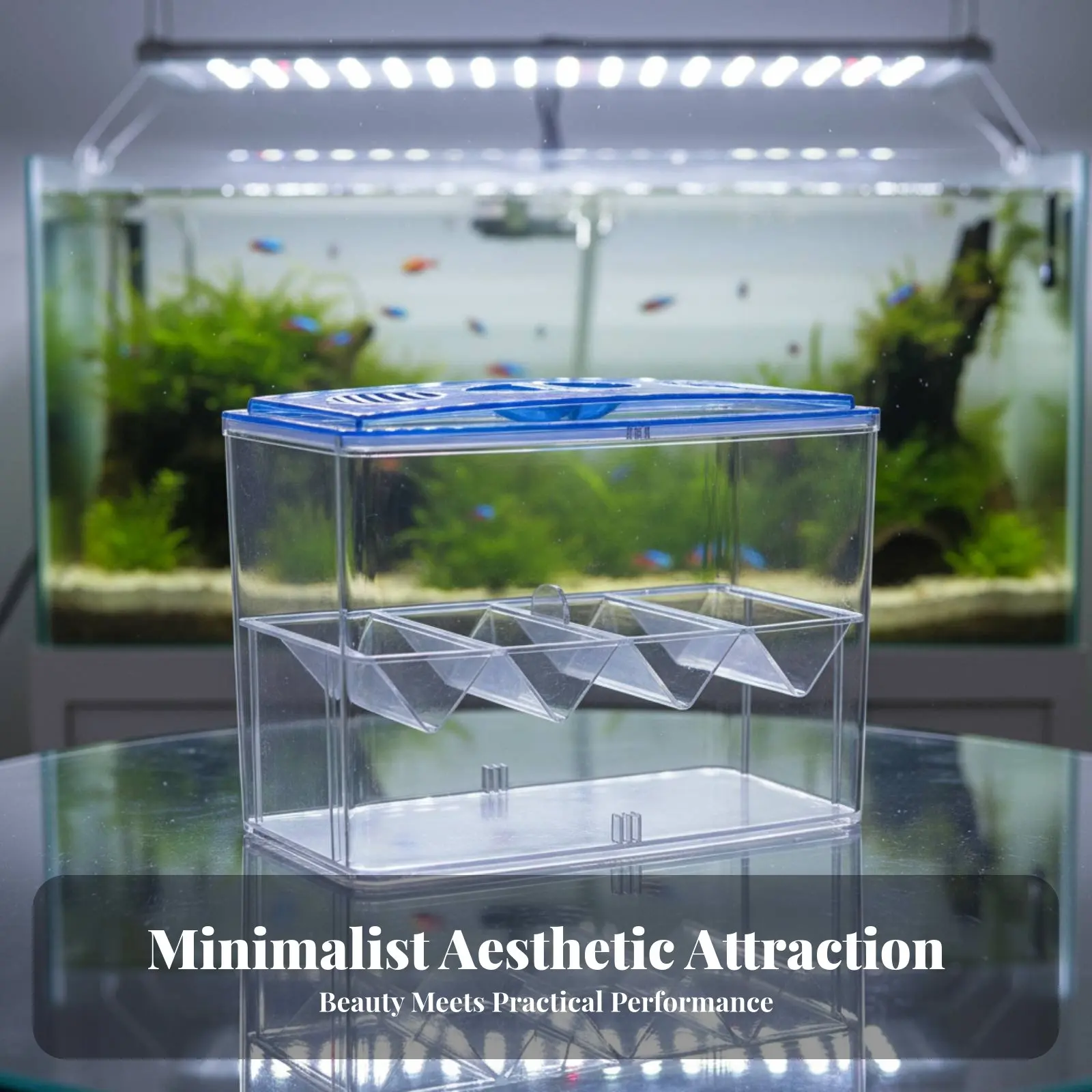 

Акриловый двухуровневый контейнер для разведения аквариумных животных, простой в использовании