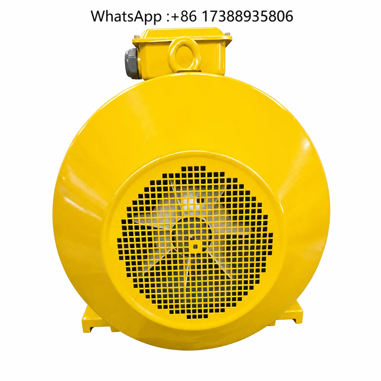 3 Phase Motors Fan Motors Pump Motors AC Motor  IP54/IP55 Protection rating   220K  electric motor supplier