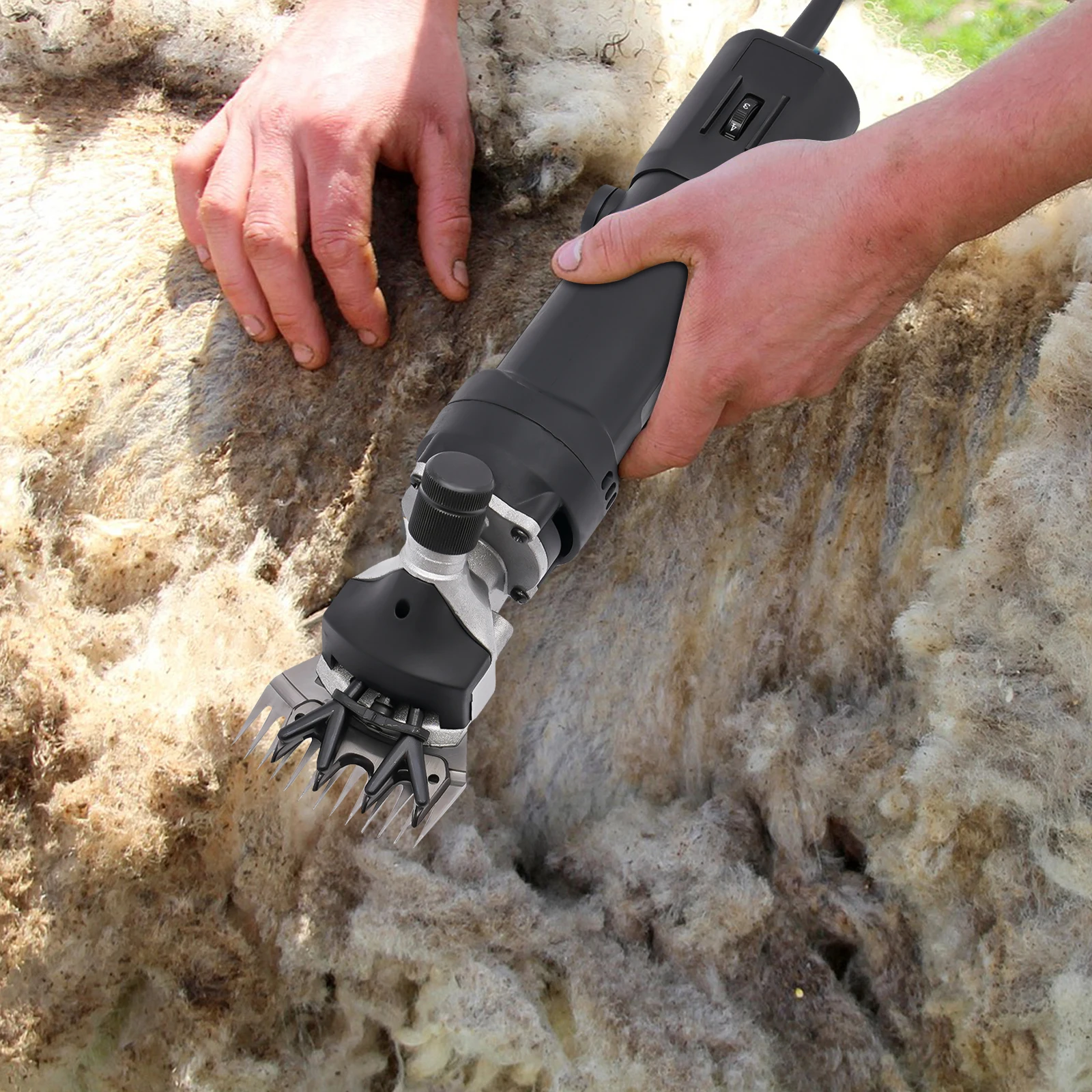 Tondeuse électrique réglable à 6 vitesses 850W, tondeuse professionnelle pour moutons avec brosses, tondeuse pour le toilettage des animaux pour moutons et chèvres