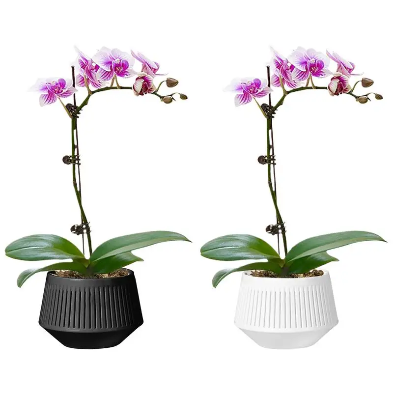 

Meshpot Clear Plastic Orchid Pots For Flower Breathable Basin Orchid PlantersRoot Control Orchid Desktop Double Layer Pot