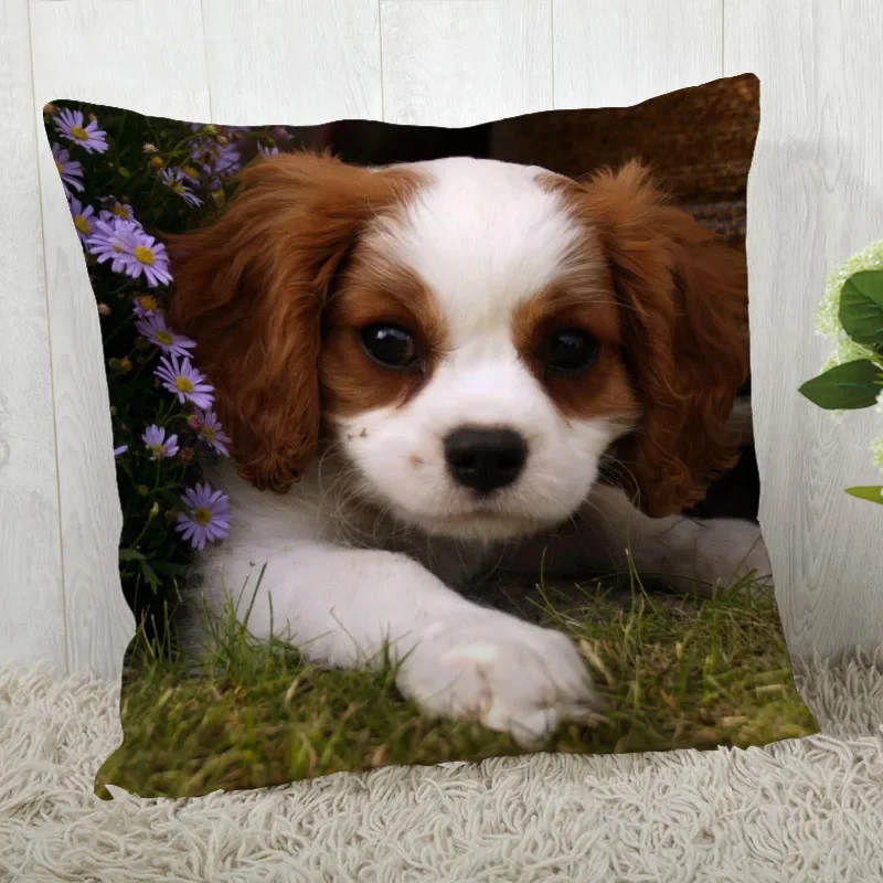 Customize King Charles Spaniel Pillow Case Modern Home Decorative Pillowcase For Living Room 45X45cm A2020.4.29