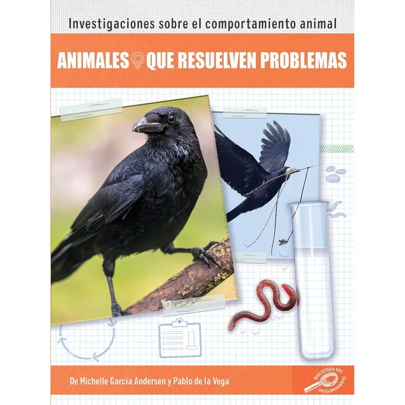 Spanish Science Readers Animales Que Resuelven Problemas Grade 14  Ages 610 Michelle Garcia Andersen Rourke 9781731655035 Book