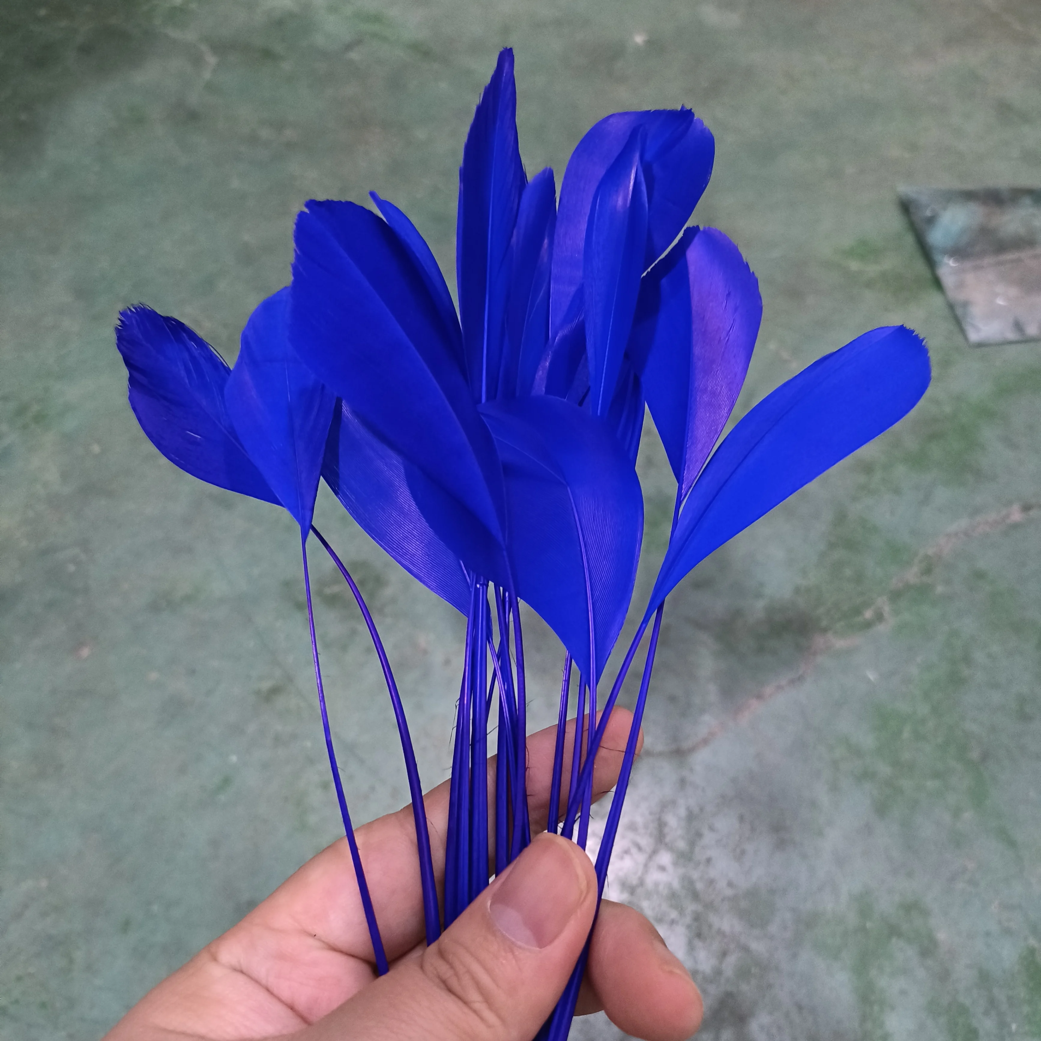 50 Stuk/zak Lange Ganzenveren Gestript Coque Modevak Veren Fascinators Hoeden Passementen Gekleurde Handwerk Accessoires