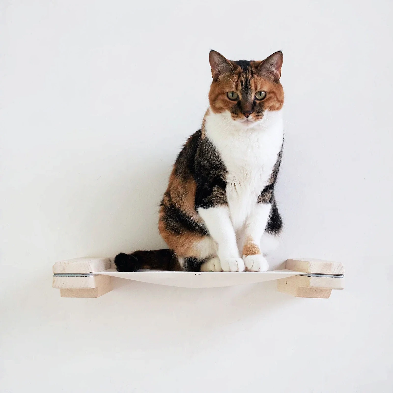 Estante de madera maciza para  - Cat Wall Climbing Shelves Hammock Wooden reseña y precio