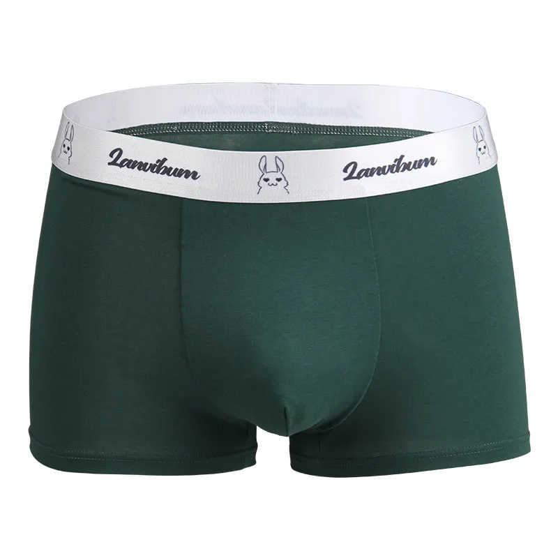 Men Boxy Underwear Cotton Breath Comfort Sweat Absorption Boxer Shorts Youth Mid-rise Graphene Antibacterial Sports Boxer Shorts