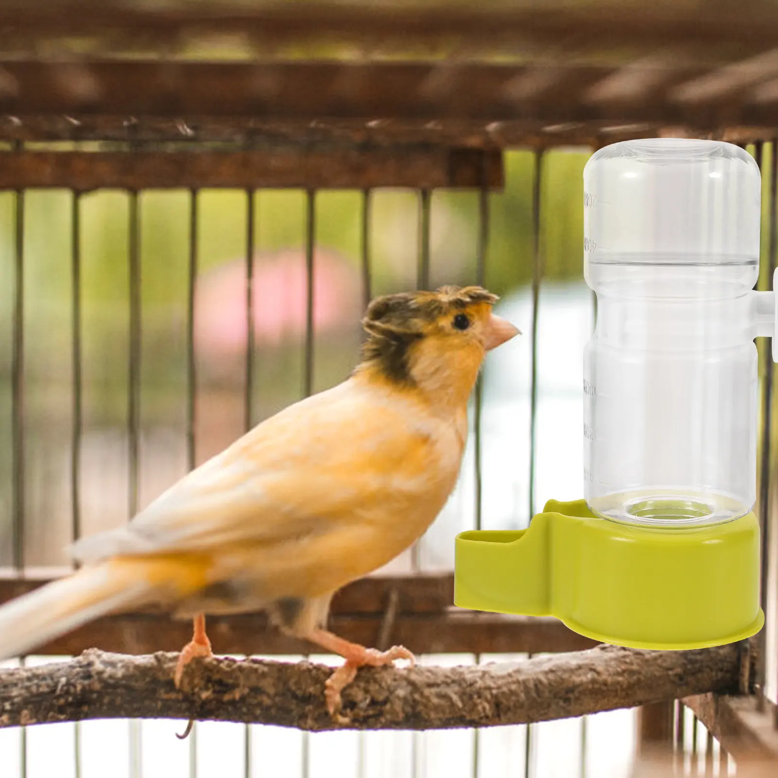 Automatic Bird Water Feeder for Parrots & Parakeets – Reusable Cage Water Dispenser with Continuous Safe Supply