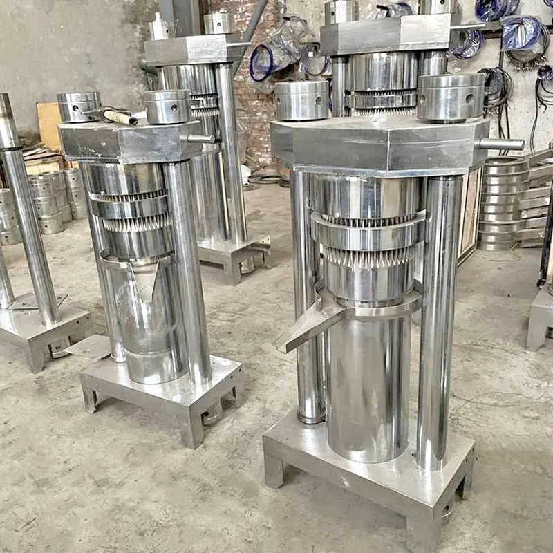 Red Palm Pine Nut Okra Seed Oil Press Machine Peanut Oil Press Line Exaction Machine Production Cold Press Oil Machine Hydraulic