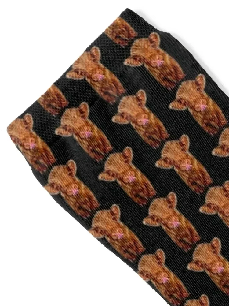 Baby Highland Cow Drawing Scottish We Coo Socks essential Lots Socks Ladies Men's