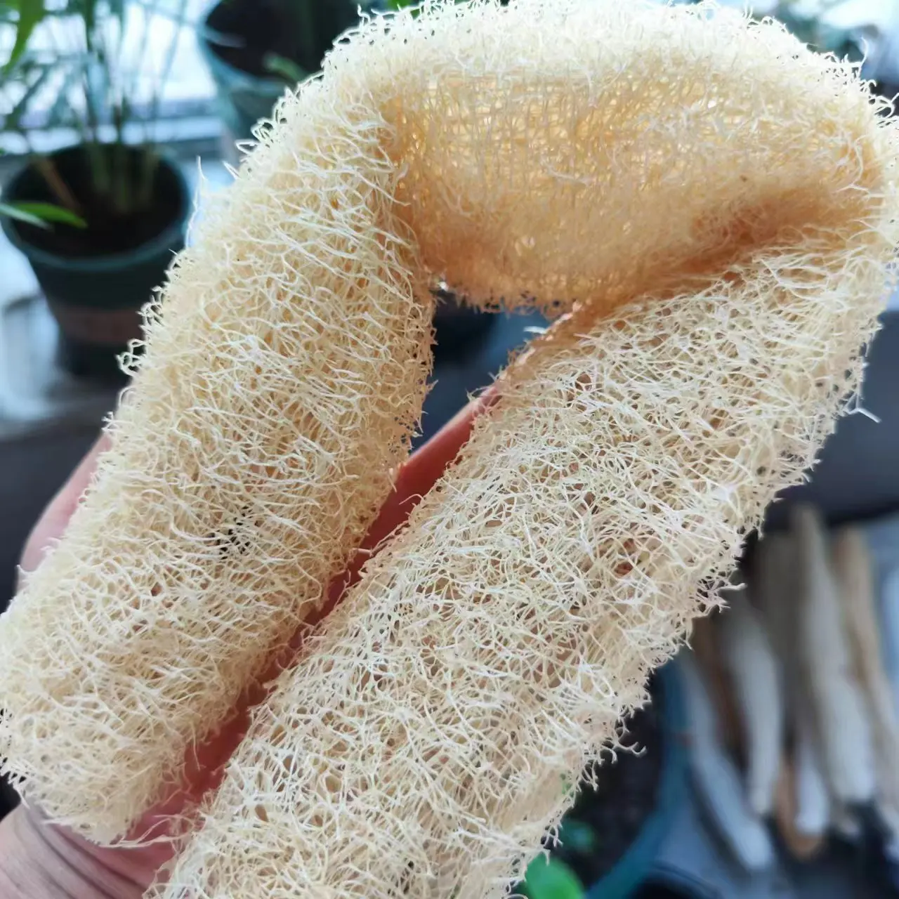 1pcs Saudável Natural Loofah Esponja Scrubber Para Cozinha Bath Shower Wash Body Pot Bowl Esponja Scrubber Spa Banheiro fazer sabonetes