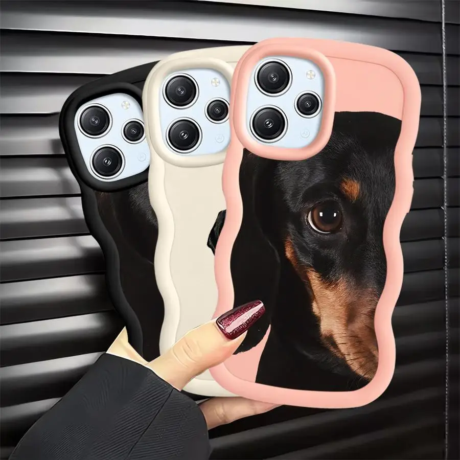 Interesting Dachshu… - image