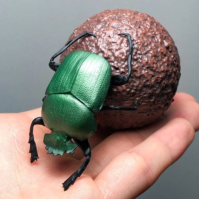 SO-TA Gashapon Capsule Toys Insect Creature Kawaii 1/1 Dung Beetle Scarab Model Ornaments Cute Action Figure Gift