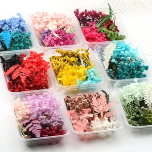 Natural real flowers for candle mold, epoxy resin, artificial plants, diy making decoration, home accessories, handicrafts, 1 box 10 Main Sales Natural Dry Flowers - №1