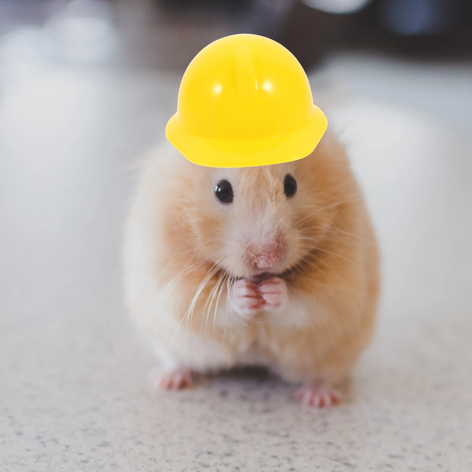 

Miniature Construction Hat Decorative Safety Model Pet Accessories 20Pcs