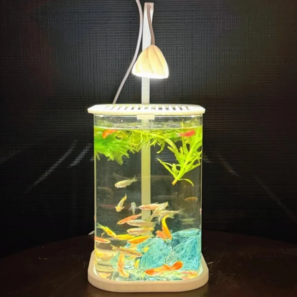 

Small Glass Fish Tank with Viewing Lights Creative Ornamental Transparent Betta Fish Tanks Portable Aquatic Pet Supplies