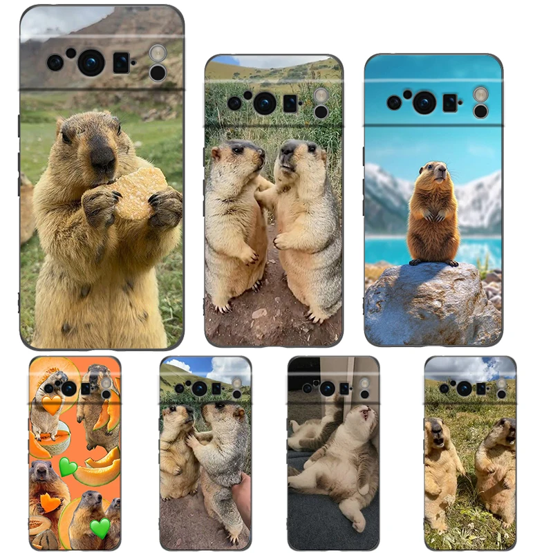 marmot Phone Case For Google Pixel 9 8 7 6 Pro XL 8A 6A 7A 5G Soft Shockproof TPU Black Cover Fundas