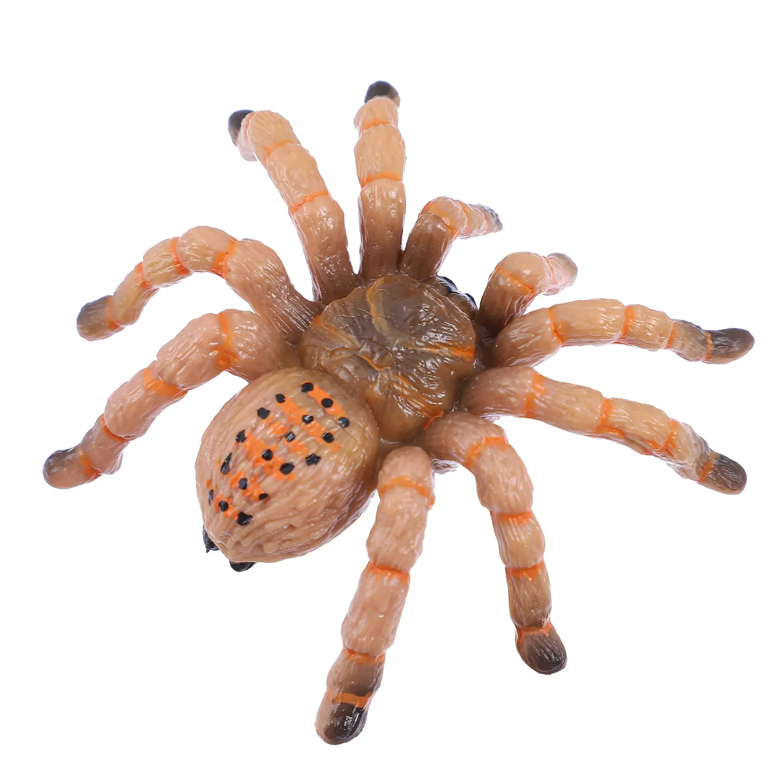 Ultra Realistic Plastic Spider Prank Prop Lifelike Shape Color Perfect for Halloween Parties Classroom Teaching Sand Table Decor