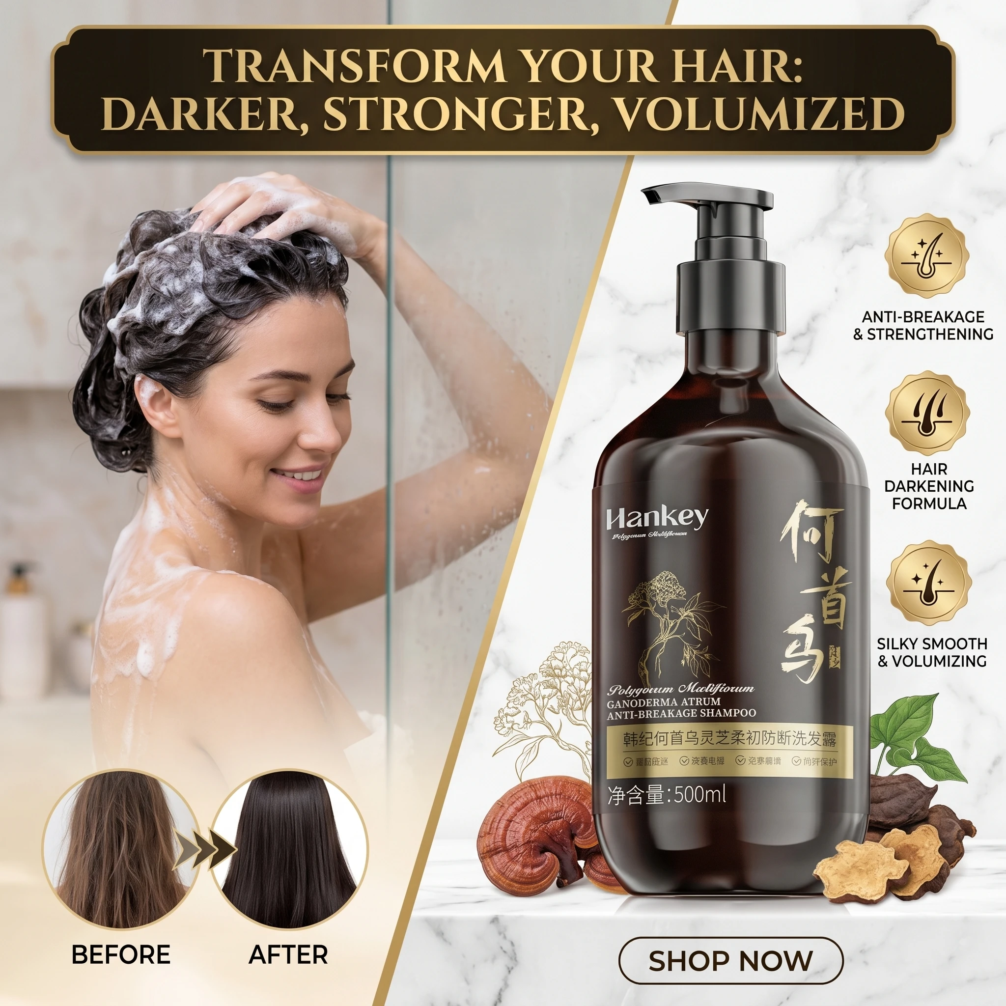Hanji Polygonum Multiflorum Ganoderma Lucidum Shampoo für weiches, bruchsicheres, glattes, flauschiges Haar – Schwärzungseffekt