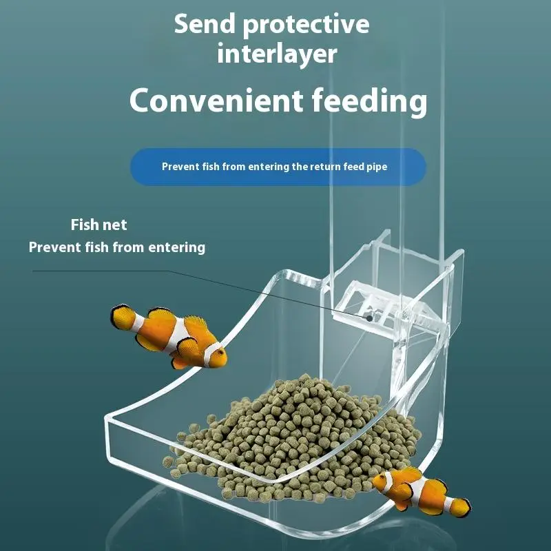 أداة تغذية الروبيان والحلزون، طبق أكريليك شفاف وأنبوب لخزانات الأسماك #4