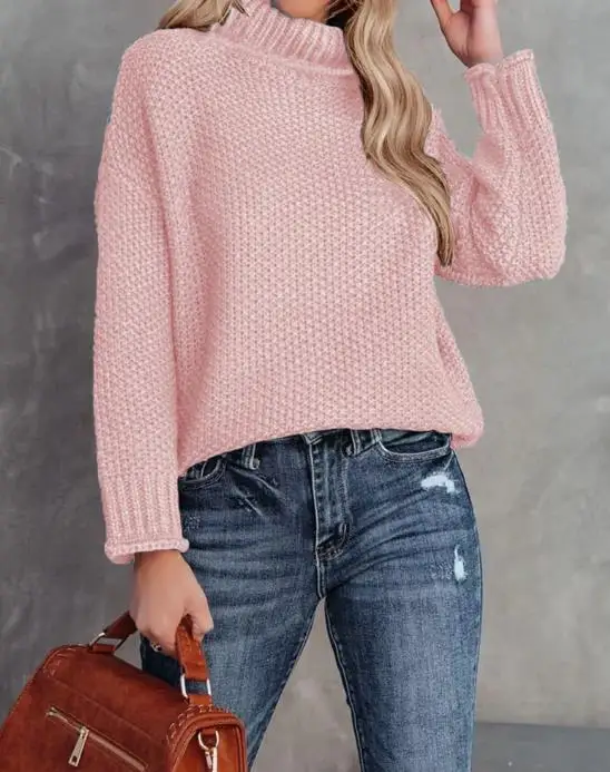 

Women's High Neck Long Sleeve Knitted Sweater Fashion Autumn Winter Rolled Edge Knitwear for Ladies