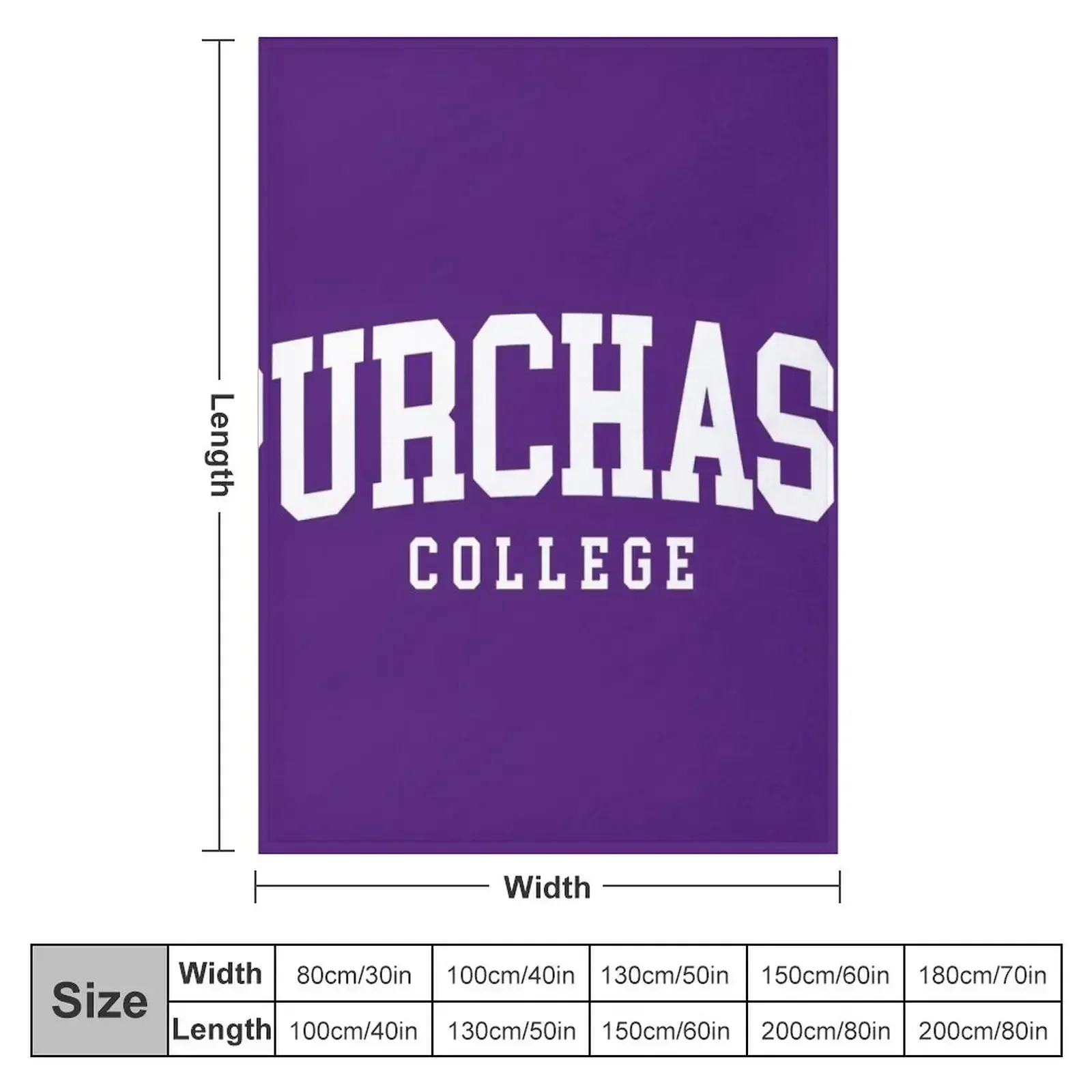 suny purchase - college font curved Throw Blanket couch cozy soft plush fuzzy picnic outdoor blanket