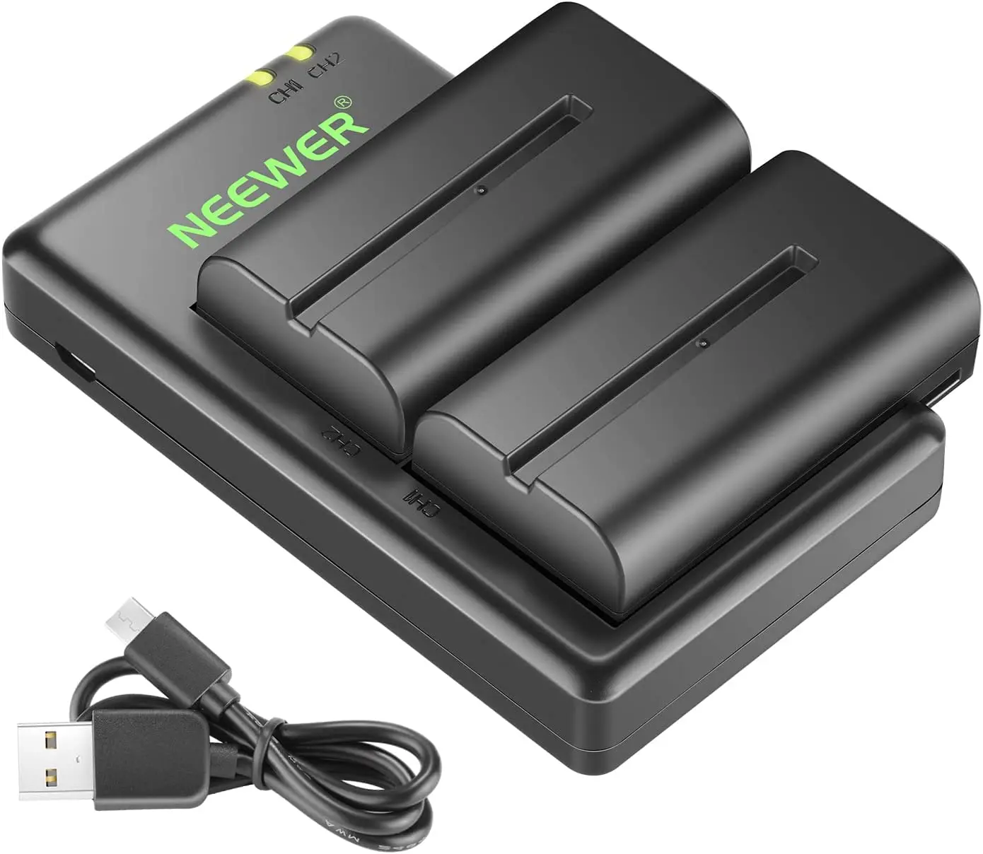 ENEGON 2 Batterie NP-F550 + Caricabatterie Dual USB Intelligente – Per Sony E Luci LED, 2900mAh Con Protezioni Integrate