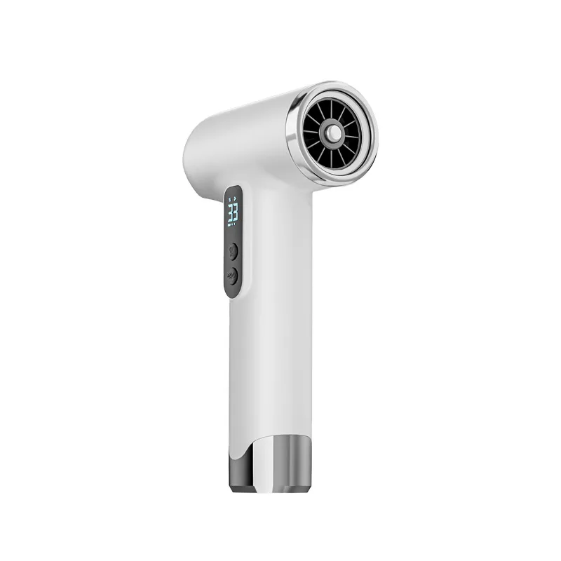 

Hair dryer Dormitory home student portable silent high power hair care large air volume hair dryer cross-border