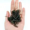 XZ028 10pcs BLACK