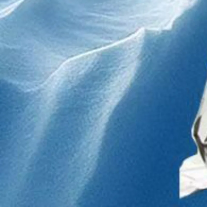 Manta emergente térmica para supervivencia al aire libre, botiquín de primeros auxilios, lámina espacial de rescate, campamento, caminata, montañero, bolsa para insectos, retención de calor