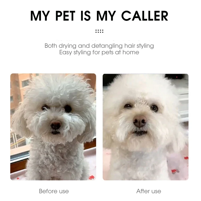ペットのヘアドライヤー2,厚いブラシ付き,プロの家のグルーミング,グルーミング,乾燥,ポータブル犬と猫用