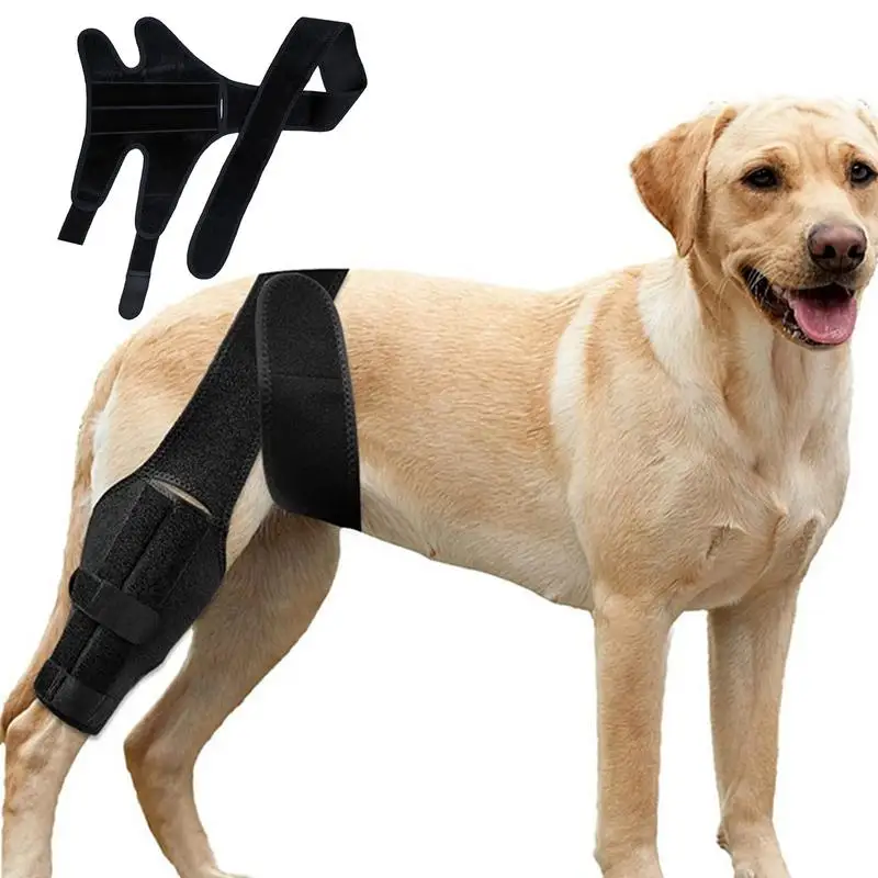 Dog Knee Protector Adjustable Black Dog Back Leg Brace Comfortable Knee Pad For Leg Injury Care Universal Leg Protector For