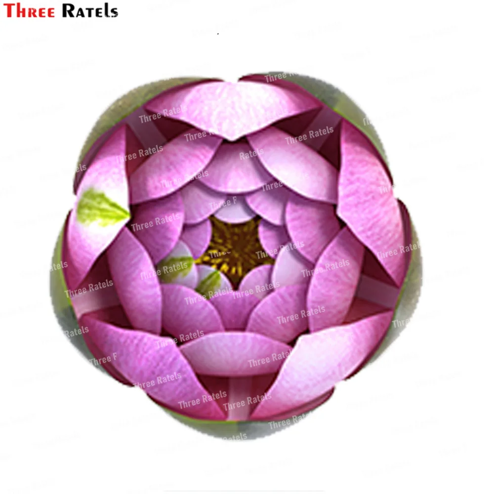 Three Ratels K558 Nymphaea Siam Purple With Leave Wall Stickers Home Decor Living Room Sofa Decoration self-adhesive Decals