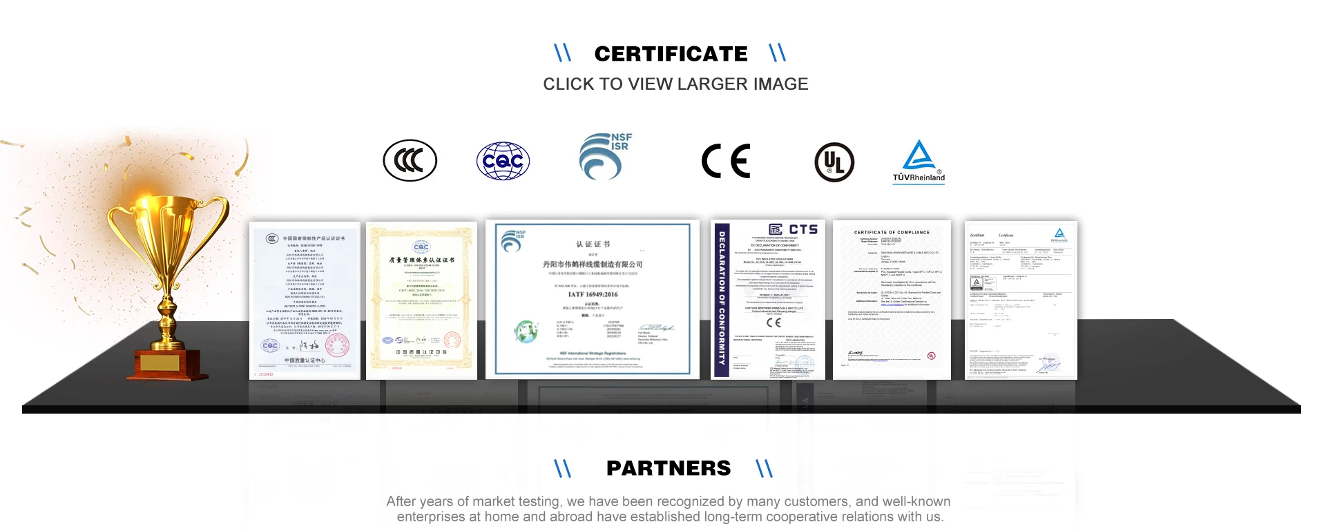 Adattatore convertitore caricabatterie EV da NACS a CCS2 DC 200ADC 1000VDC Nuova condizione