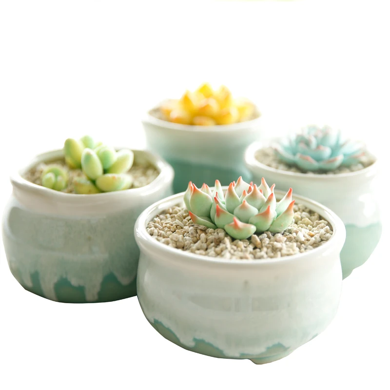 Succulent Plant Flowerpots Mint Queen Simple Rough Pottery, Fresh and Lovely Japanese Ceramics