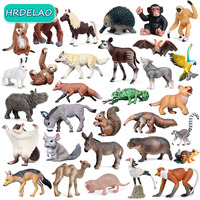 Realista Wild Animal Figurines Zoo Wolf Monkey Bat Chameleon Pangolin Squirrel Donkey Horse Action Model Toys ​for children Gift