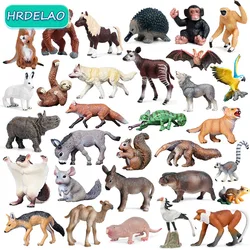 Realista Wild Animal Figurines Zoo Wolf Monkey Bat Chameleon Pangolin Squirrel Donkey Horse Action Model Toys ​for children Gift