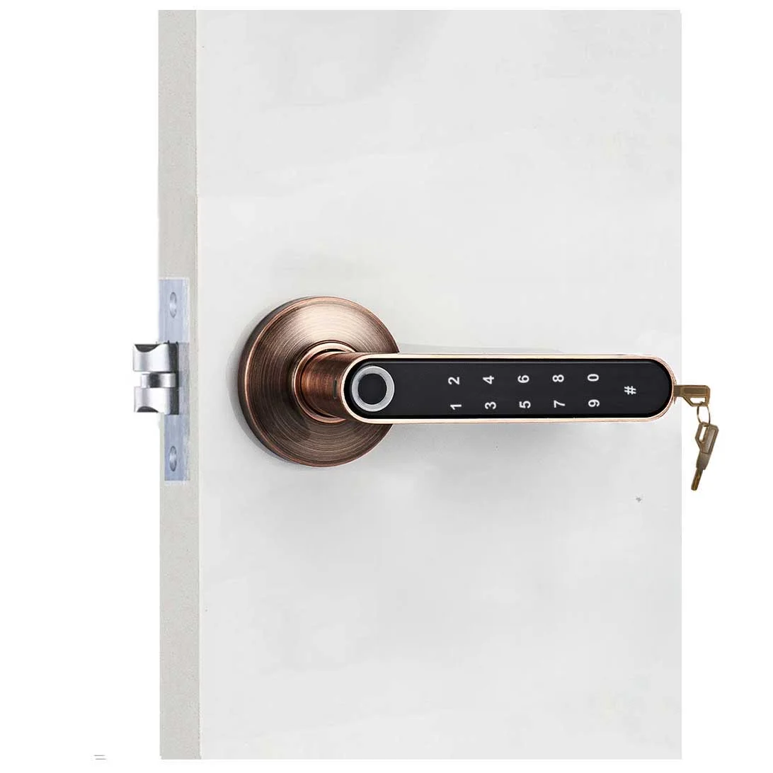 

Wooden Door Lock Smart Fingerprint Portable Biometric