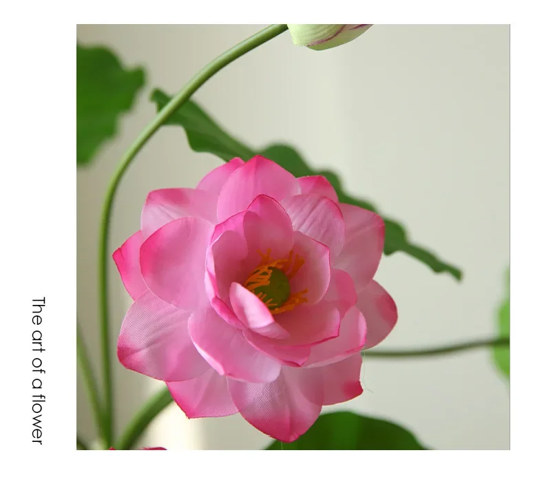 5 Stück Simulationsblumen Seidenrosa Lotus Wohnzimmer Dekorative Kunstblumen Künstliche Lotuszweige Garten Dekoration – Detail 12