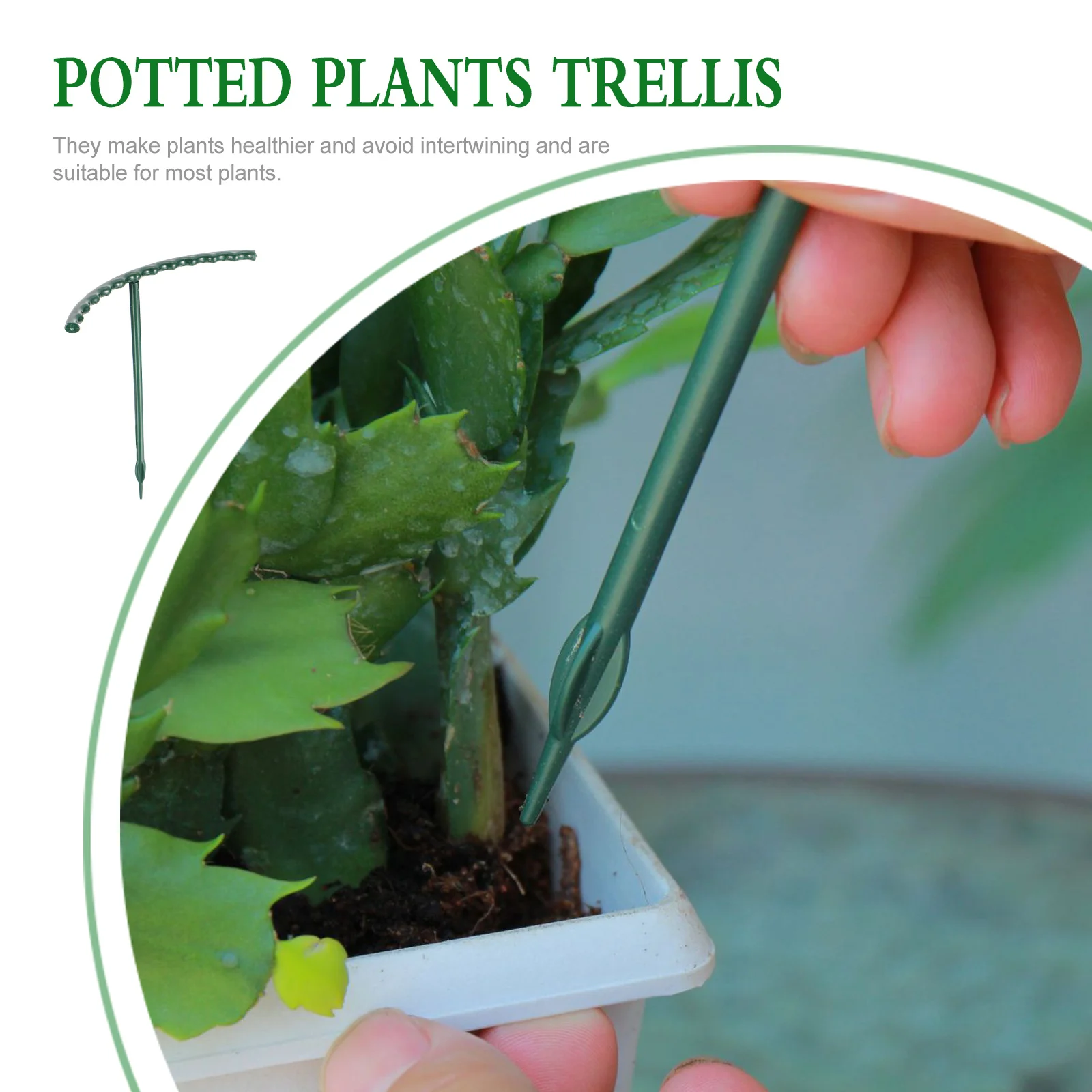 

12Pcs Plant Support Rack Plastic Climbing Frame for Growing Beans Tomatoes Cucumbers Vines Plant Holder Potted Plants Trellis