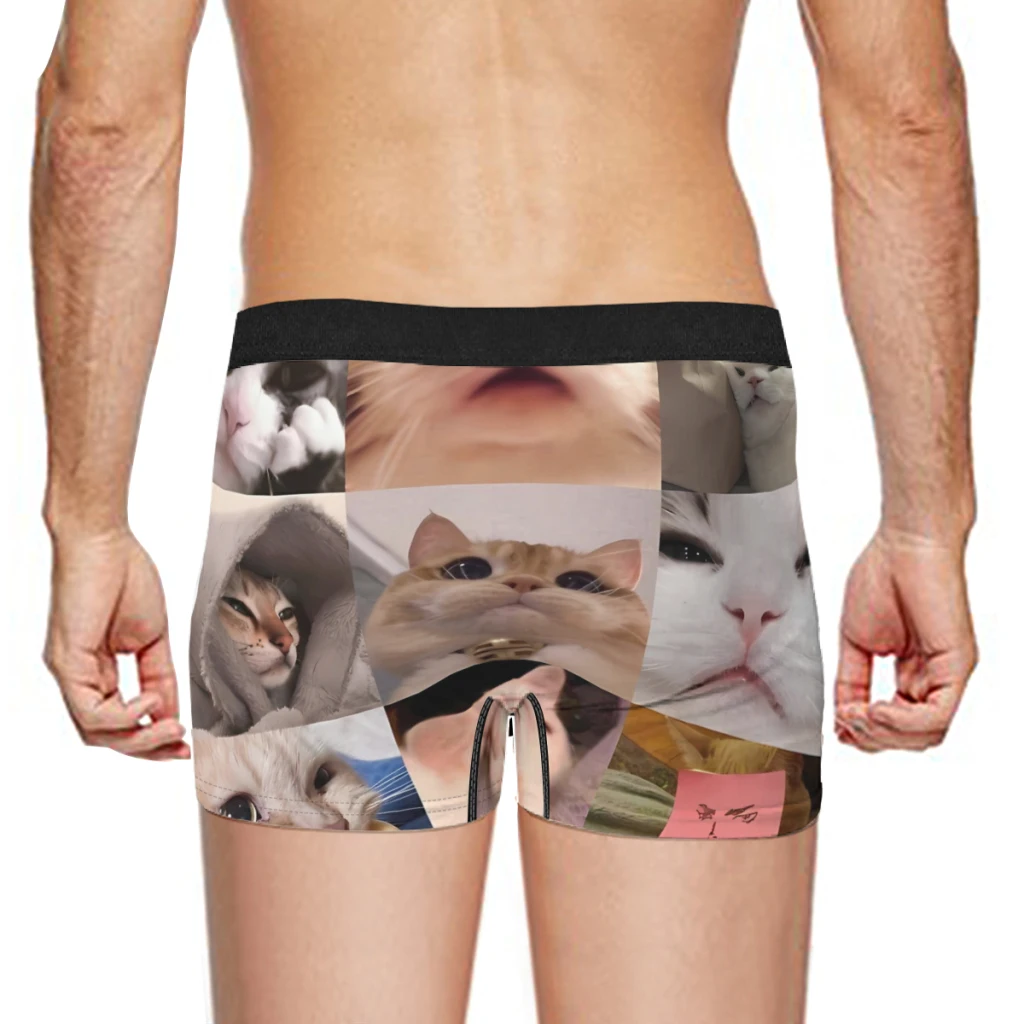 Cat Meme Funny Meme Cats Collection Underpants Homme Panties Man Underwear PrintShorts Boxer Briefs