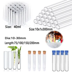 10pcs borosilicate round bottom test tubes clear glass test tubes for experiments decoration plant propagation and holiday gifts