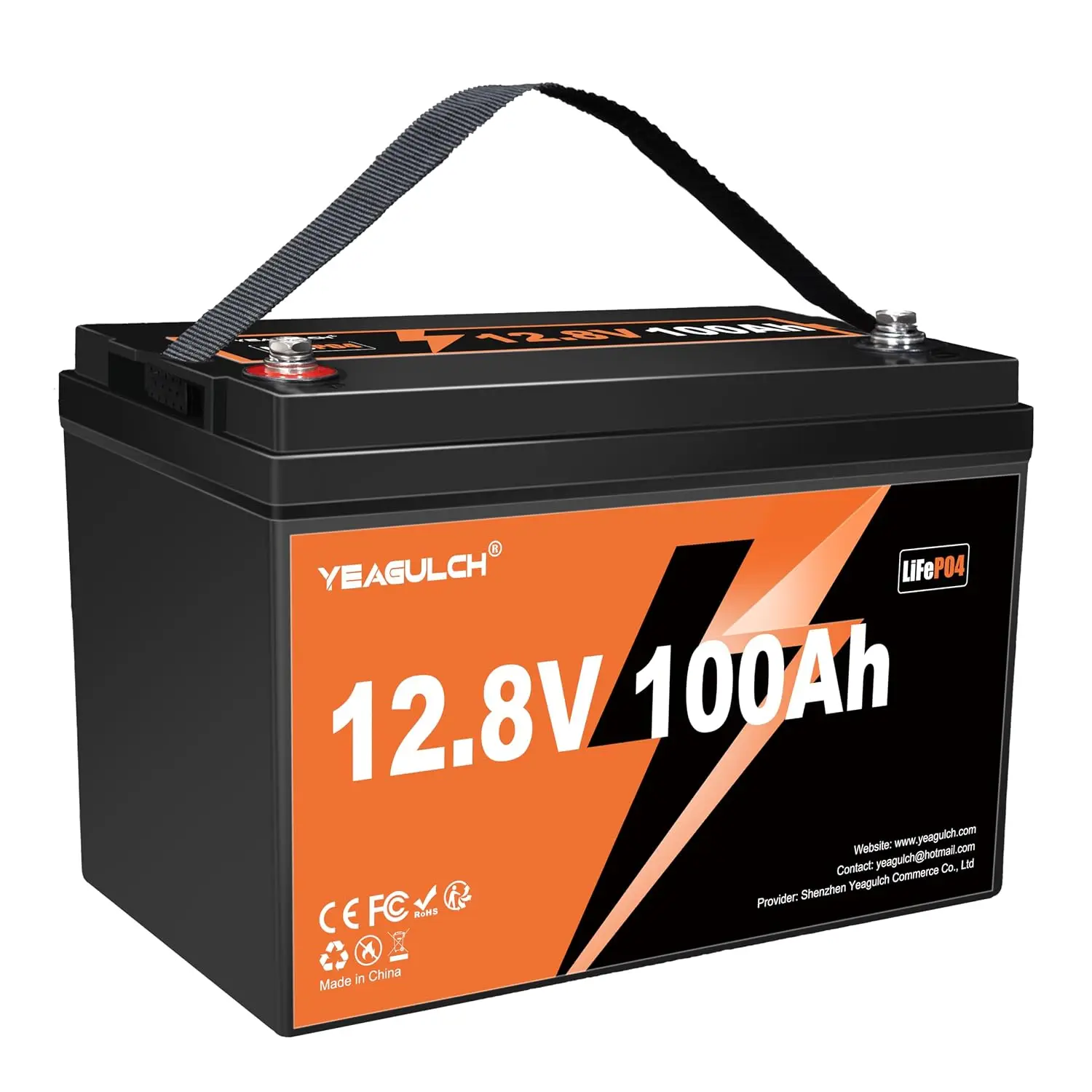 12V 100Ah LiFePO4 Battery with 100A BMS 1280Wh Deep Cycle Solar RV Marine Off-Grid Power Storage, Customized