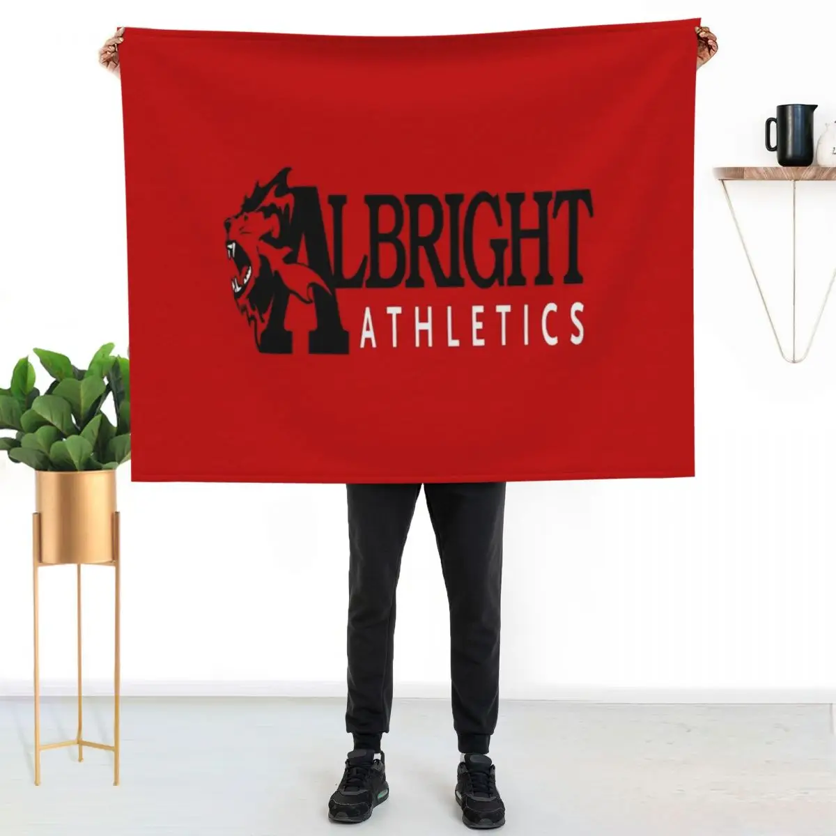 

albright college Throw Blanket Faux Fur Soft Warm Blanket for Bed