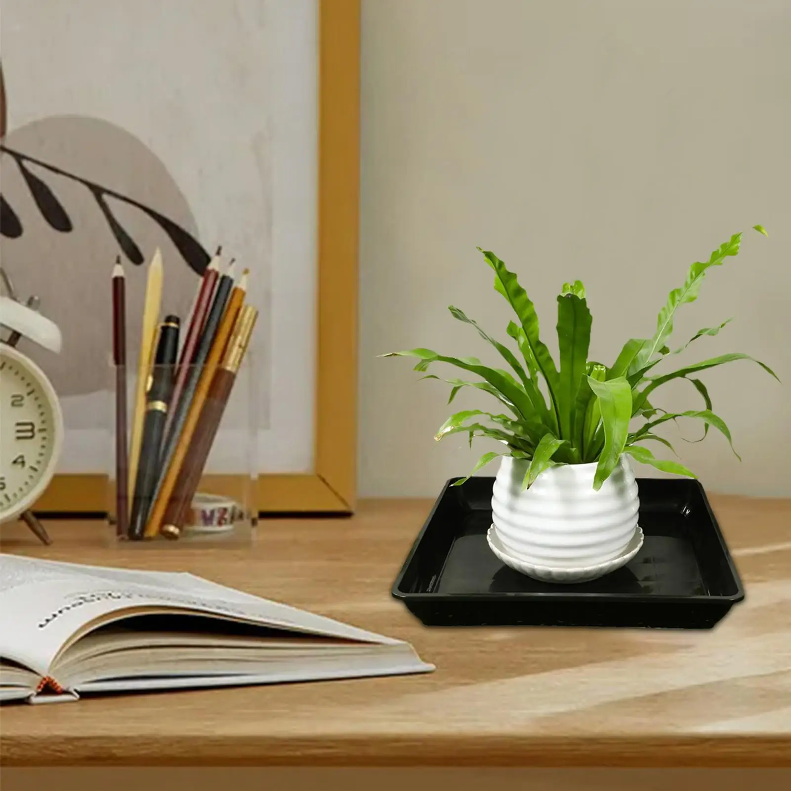 Thumbnail 2 - #38 Highest Rated Garden Pot Saucers & Trays to Buy in 2026