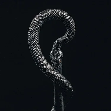 Original Coiled Snake Hairpin Snake Staff Hairpin Healing Snake Niche Design Retro Premium Gift