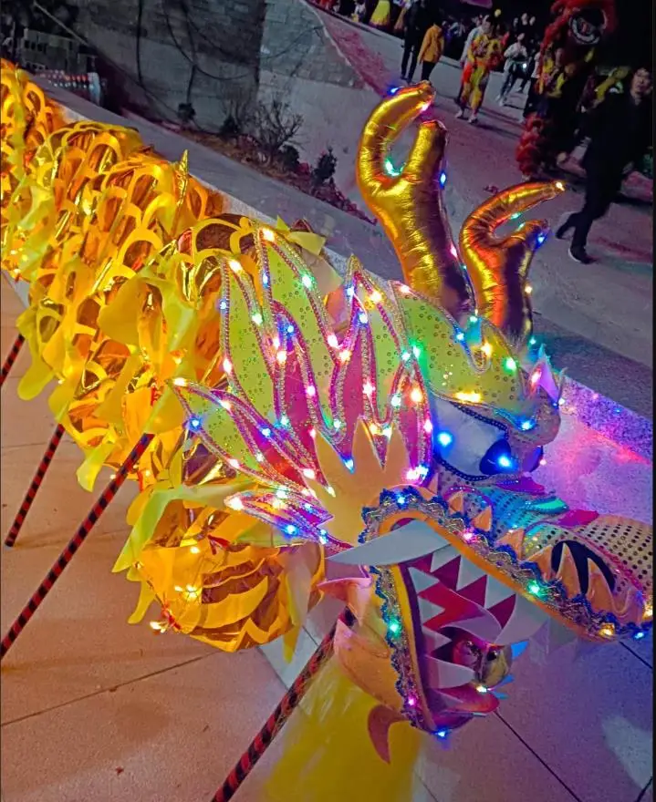 

Festival 18m LED light Size 4 Golden Dragon Dance Costume 10 Players Adult l Art Party New Year Performance Parade Folk Stage