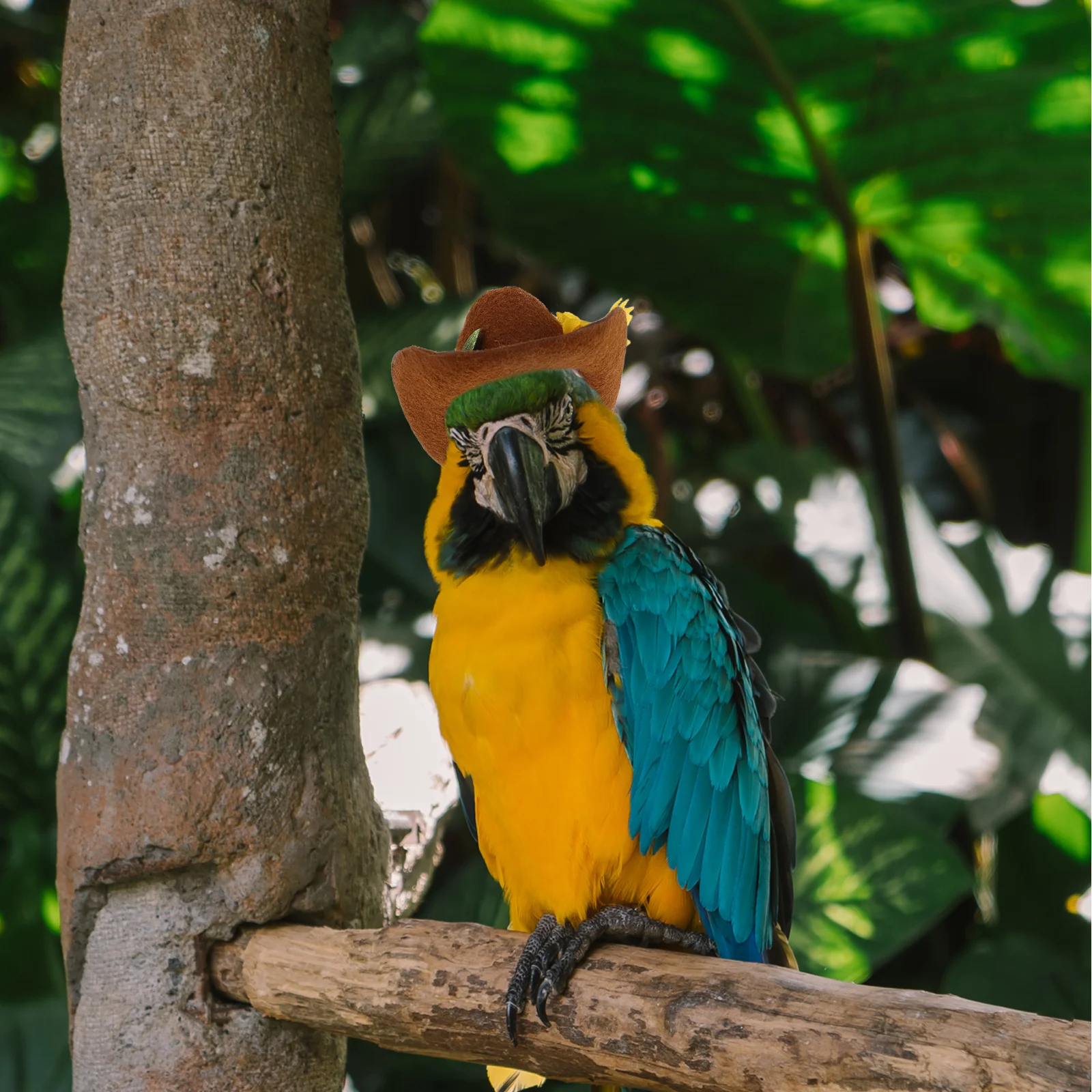 

4Pcs Miniature Cowboy Hats Adjustable Small Pet Headwear Hamsters Guinea Pigs Parrots Snakes Felt Western Style Cute Floral