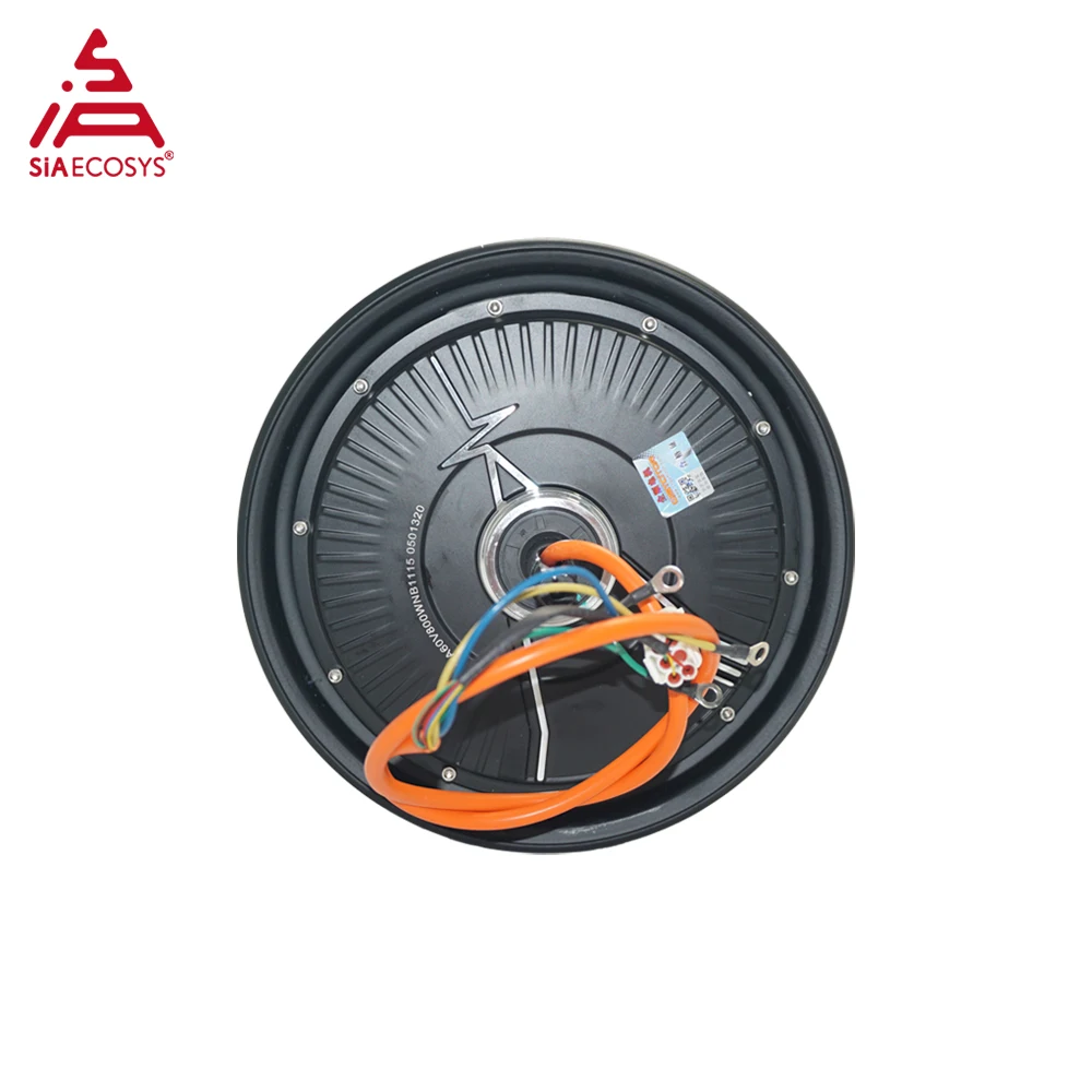 QS MOTOR 10inch 212 800W 60V 27H In-wheel Hub Motor for E-Scooter